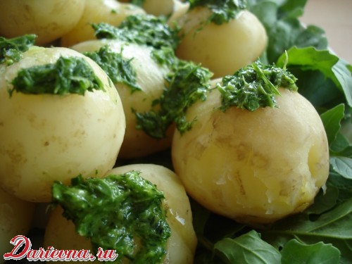 как приготовить молодую картошку