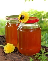 из одуванчиков