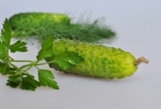 Готовим вместе по цветам - зеленый Готовим вместе по цветам - зеленый