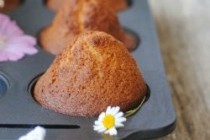 Готовим с цветами... ромашки