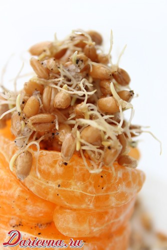 салат с пророщенным зерном