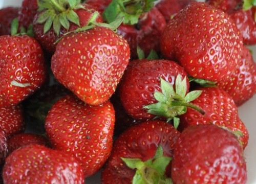 закуски под шампанское