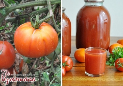 томатный сок на зиму томатный сок на зиму