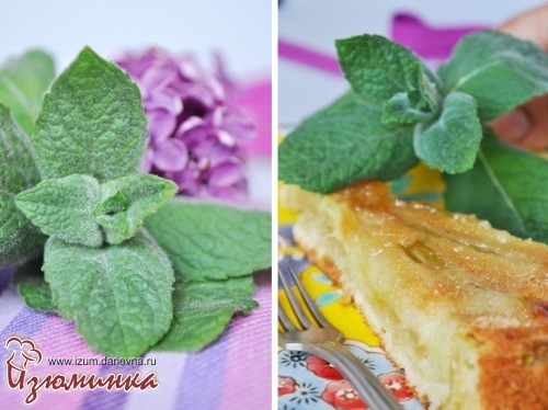 рецепты с ревенем рецепты с ревенем