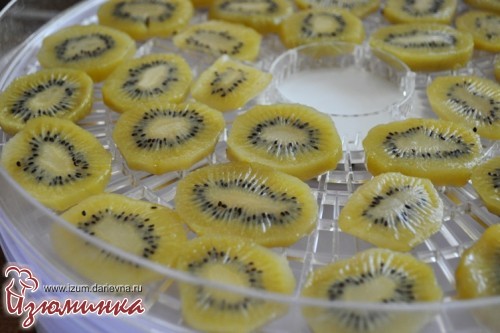 рецепты с киви