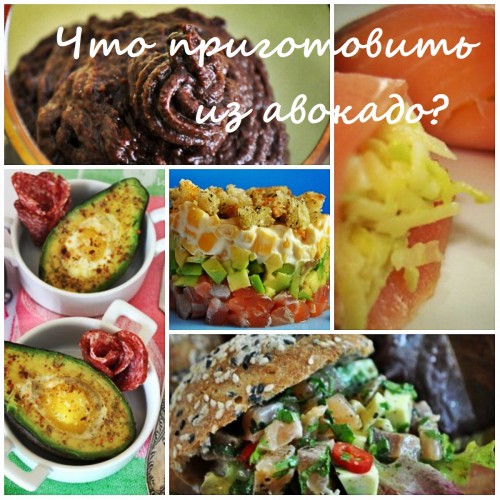 что приготовить из авокадо что приготовить из авокадо