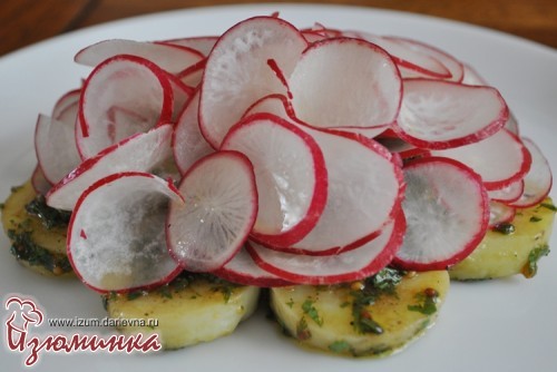 салат с редиской