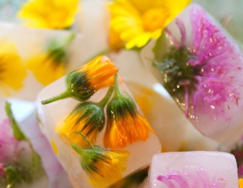 формочки для льда формочки для льда