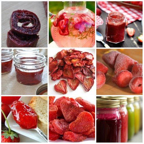 заготовки на зиму из клубники заготовки на зиму из клубники