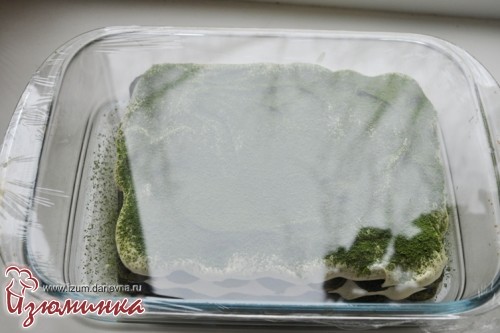 как приготовить тирамису как приготовить тирамису