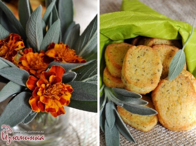 рецепт сырного печенья рецепт сырного печенья