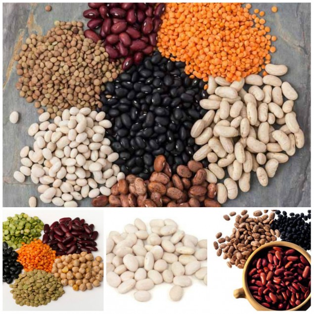 что можно приготовить из фасоли