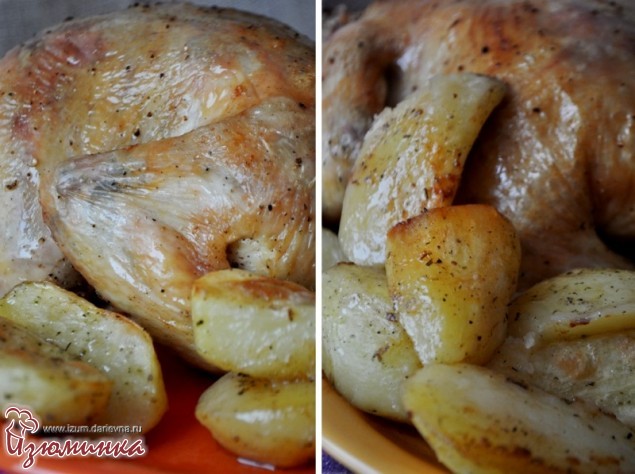 курица целиком в духовке