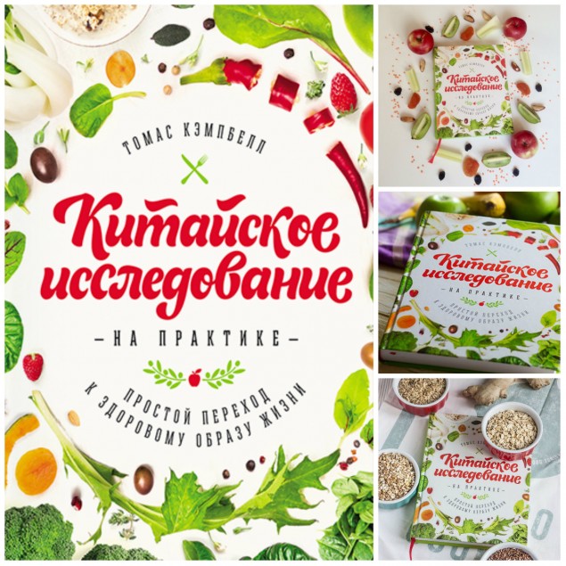 китайское исследование на практике китайское исследование на практике
