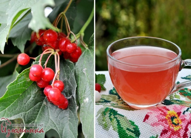 чай с калиной и имбирем