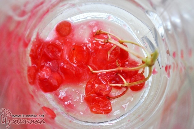 чай с калиной и имбирем