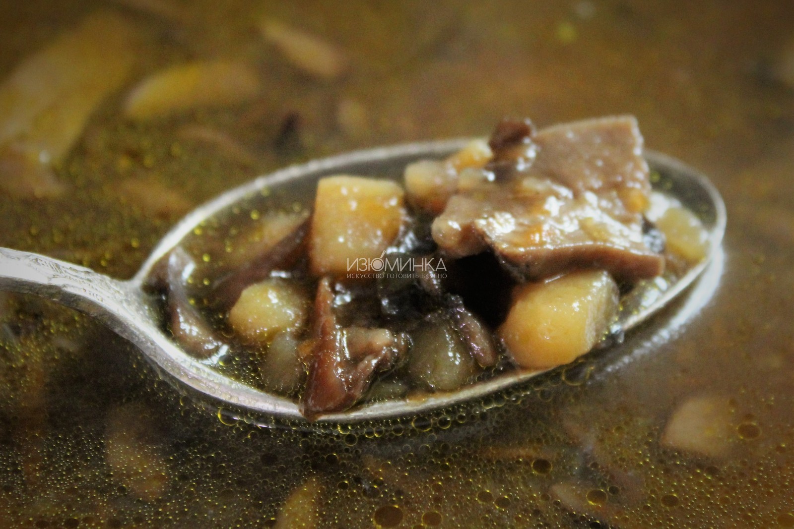 Как готовить простой суп с белыми грибами