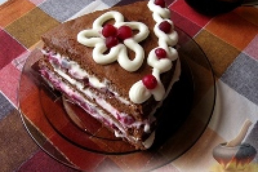 Шоколадный торт с клюквой