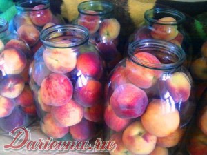 как закрыть персики на зиму как закрыть персики на зиму