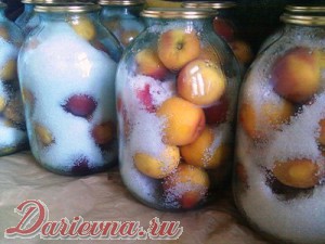 как закрыть персики на зиму как закрыть персики на зиму