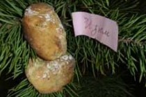 Штолленское печенье