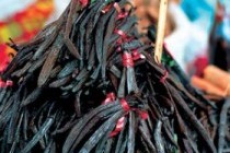 Где растет ваниль?