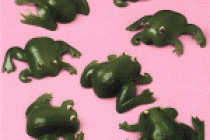 Крылья, лапы и хвосты