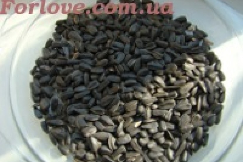 Жареные семечки подсолнуха и тыквенные семечки: Лузганье жареных семечек — любимое занятие детей и взрослых