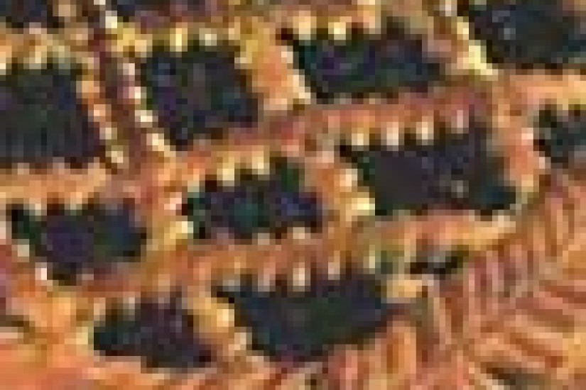 Пирог с черникой