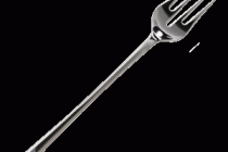 Ее сиятельство Вилка